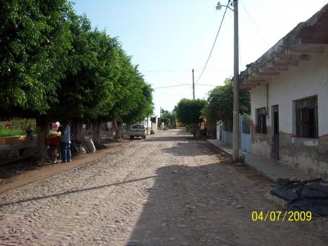 calle del botadero nayarit