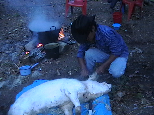 ASI SE HACE EL CHICHARRON.