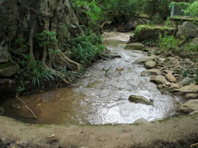 nacimiento de agua 