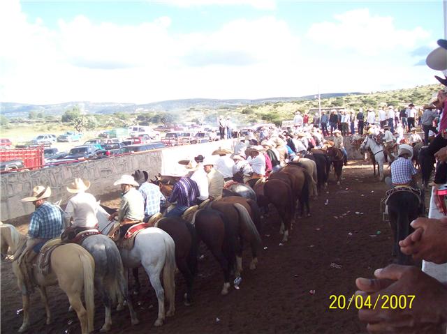 mesillas 2009