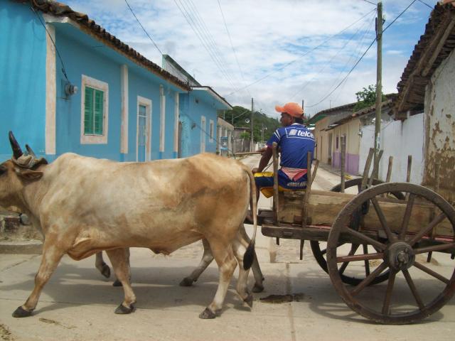 la carreta-san mieguel chimalapa