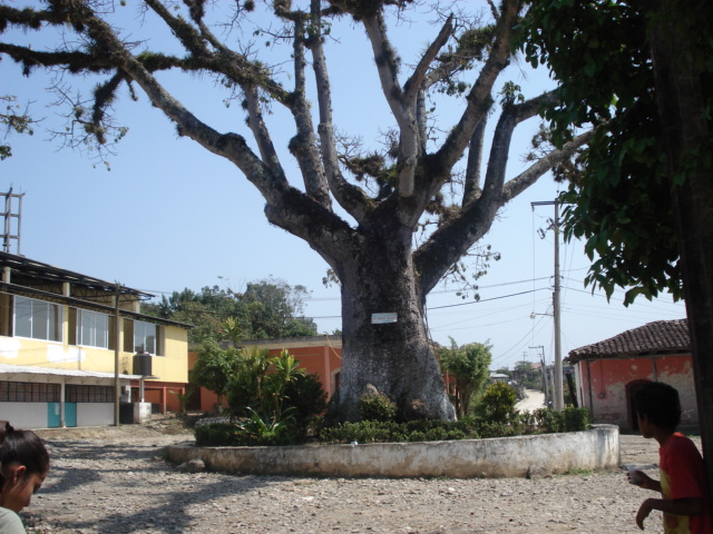 foto san pedro petlacotla