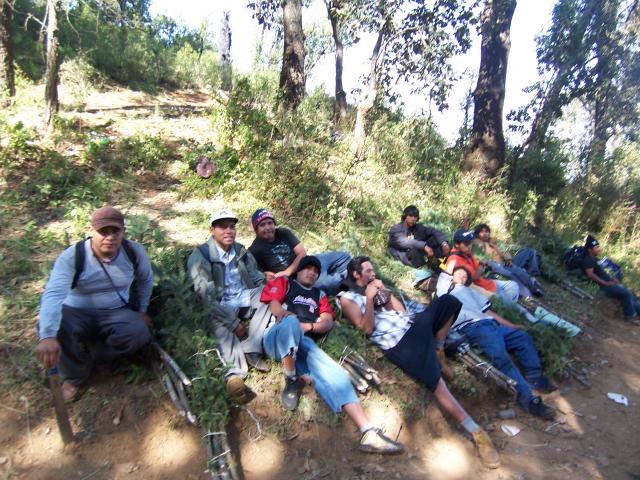 De regreso para el pueblo ya con los arbolitos