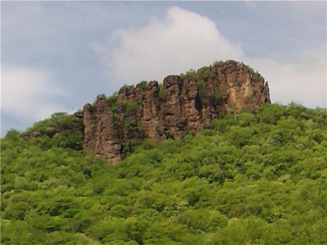 el cerro del monito