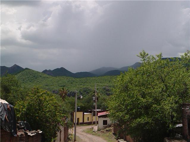 movas en meses de lluvia