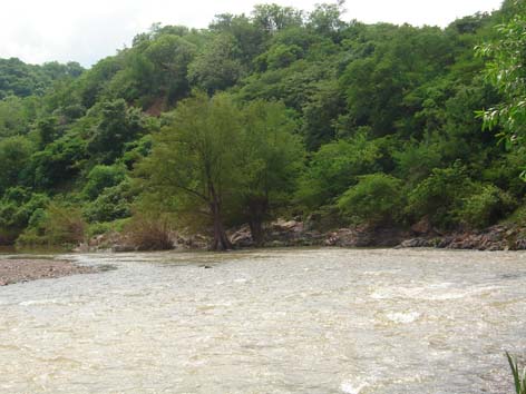 Viaje por la sierra de culiacn