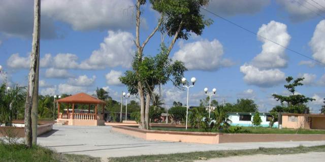 la plaza de morocoy