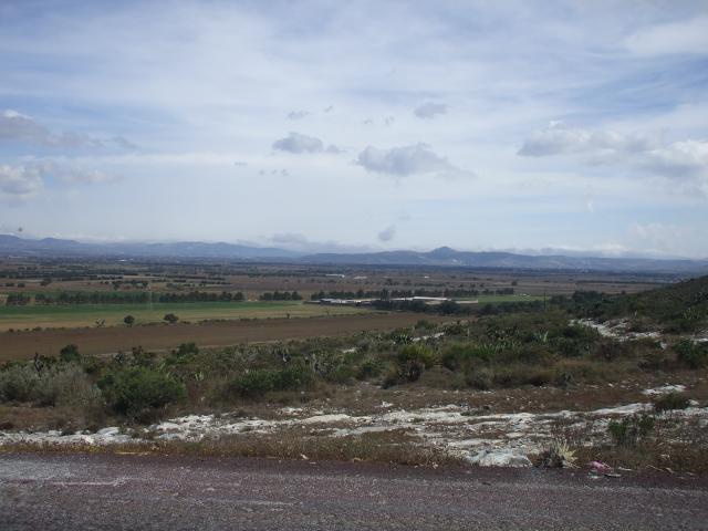 VISTA DE LIMONES