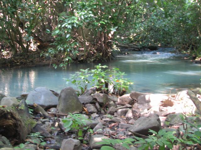 NUEVO URECHO, MICHOACAN