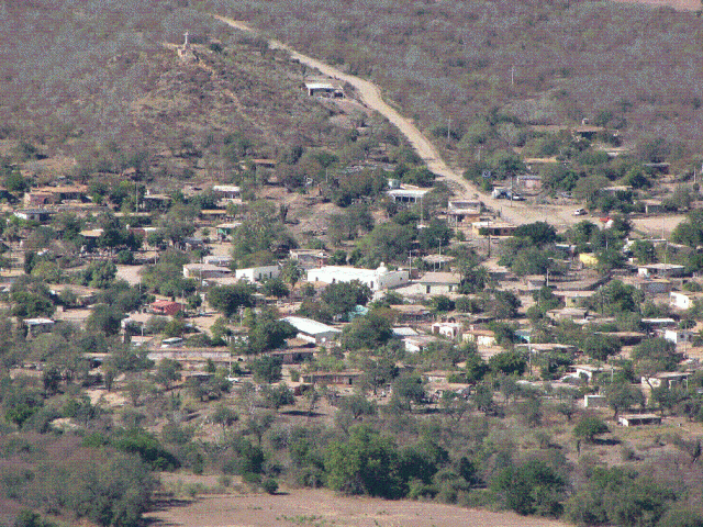 el chinal alamos (tomada desde el cerro incario)