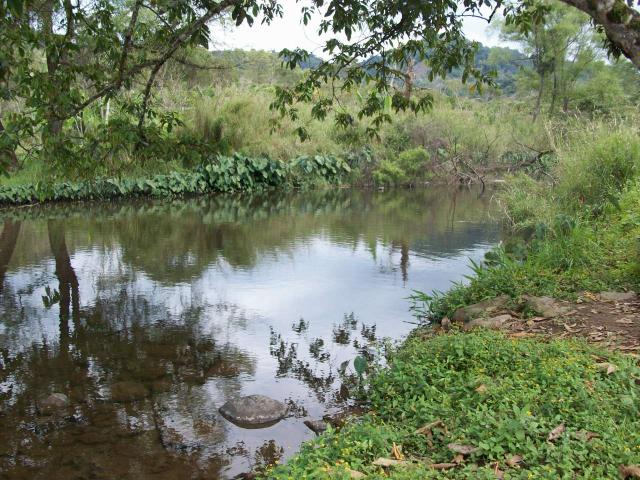 rio nanacatepec