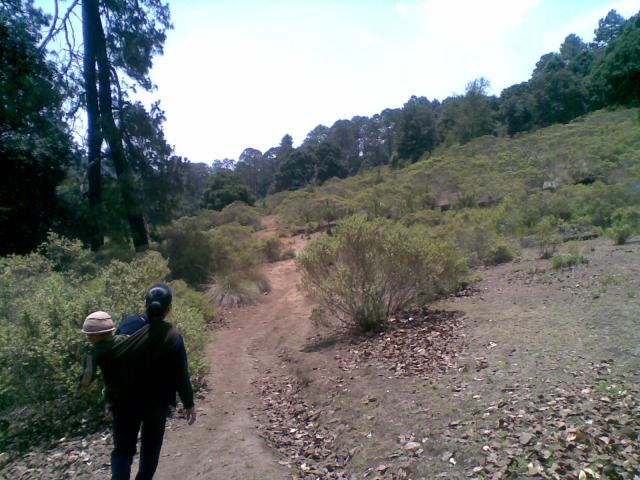 Camino hacia Soledad peras