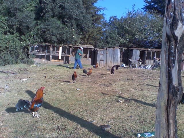 La Ladera, Rancho san Pedro