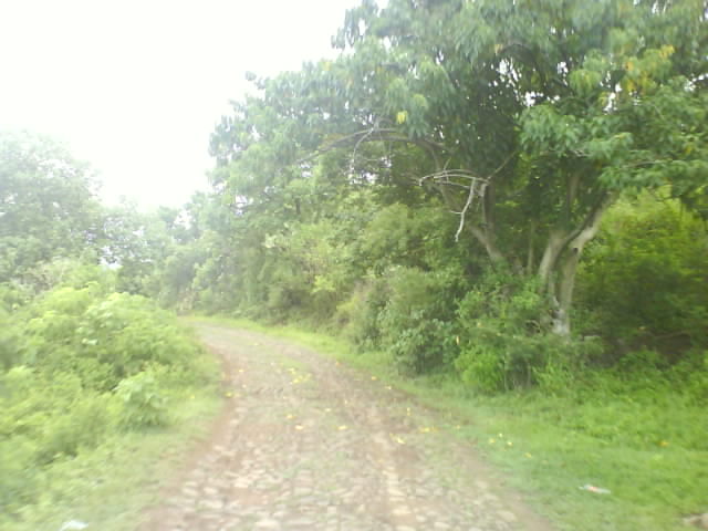 camino a la mesa de amula por tototlan jalisco