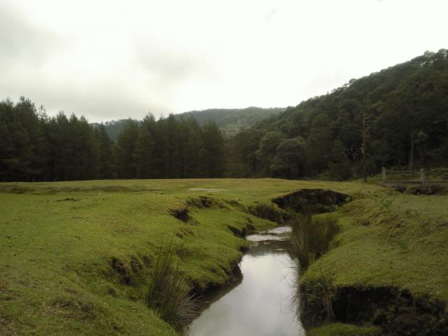 Palo Bendito, Veracruz. 