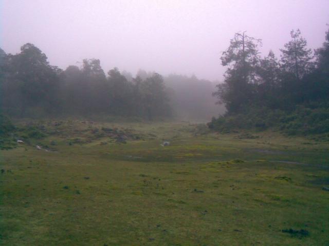 Palo Bendito, Veracruz. 