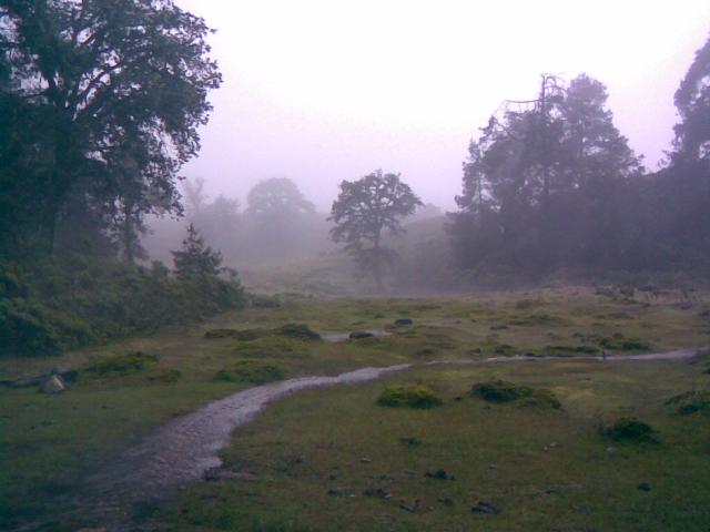 Palo Bendito, Veracruz. 