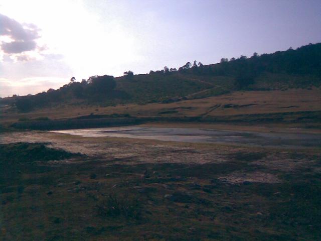 Palo Bendito, Veracruz. 