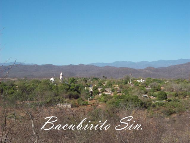 bacubirito