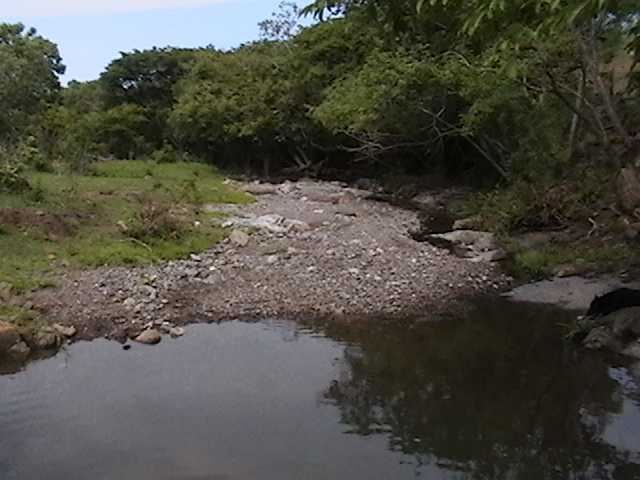 chiachuelito en el zicuindio