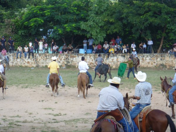 fiestas patrias 2010