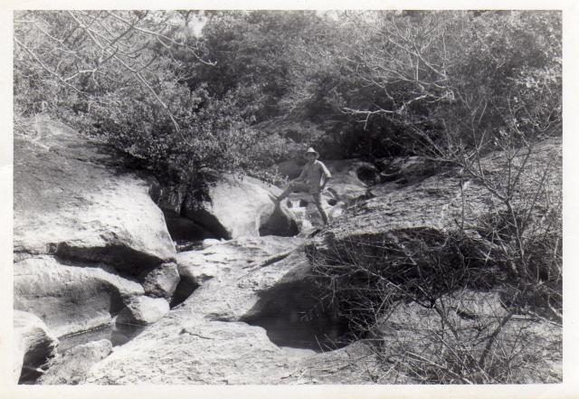 En el arroyo del Naranjo. A un lado de La Paloma.