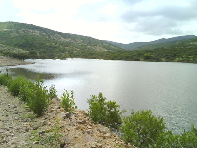 presa HUITEXCALCO