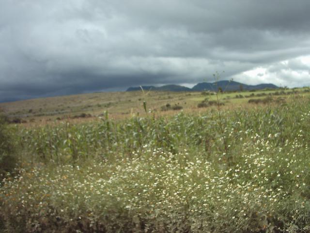 campo de san miguel tequixtepec