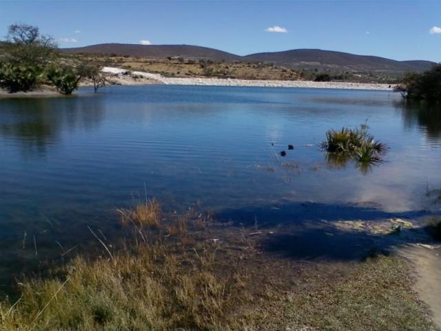 PRESA LA ESPERANZA