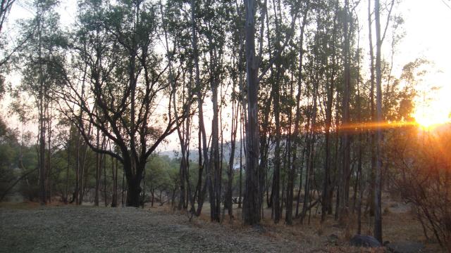 SIERRA DE GUADALUPE 