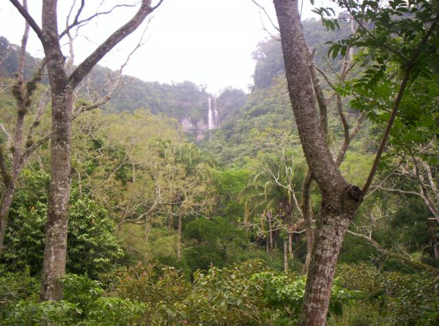 camino a cascada mecapalapa