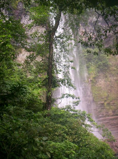 LA CASCADA Y EL RBOL