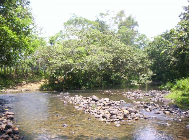 ARROYO Y CAMINO REAL MECAPALAPA