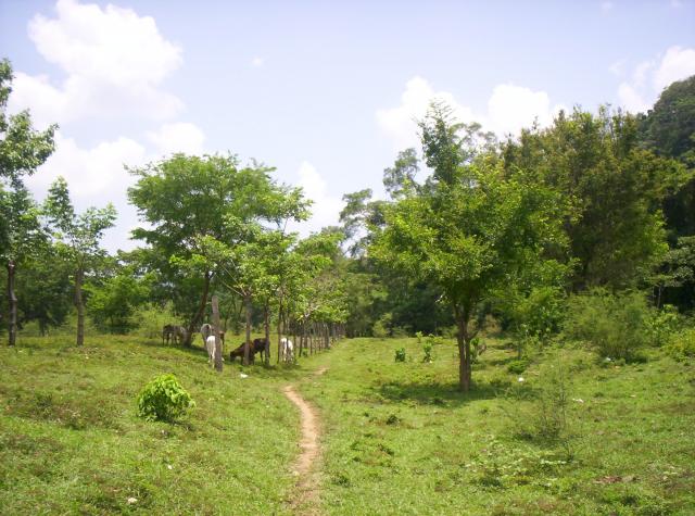 un camino por el arroyo de meca