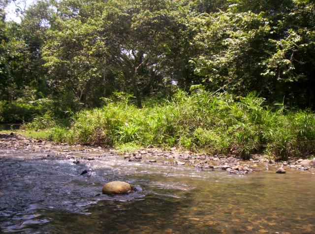 agua que corre entre las piedras