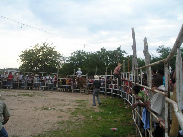 Feria Regional