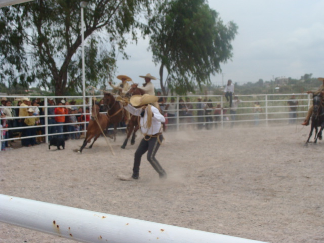 manganas en tlaxcalilla hidalgo