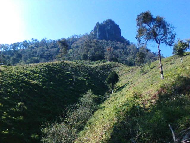 cerro de la aguja