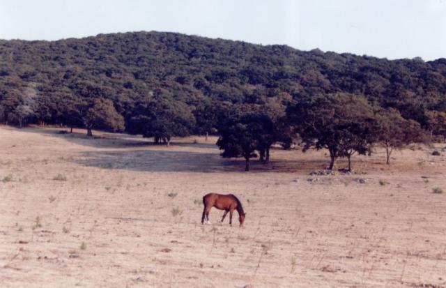 mi pueblo