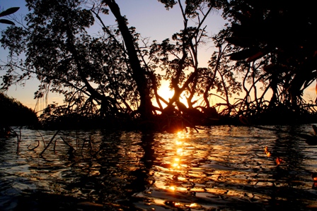 MANGLAR