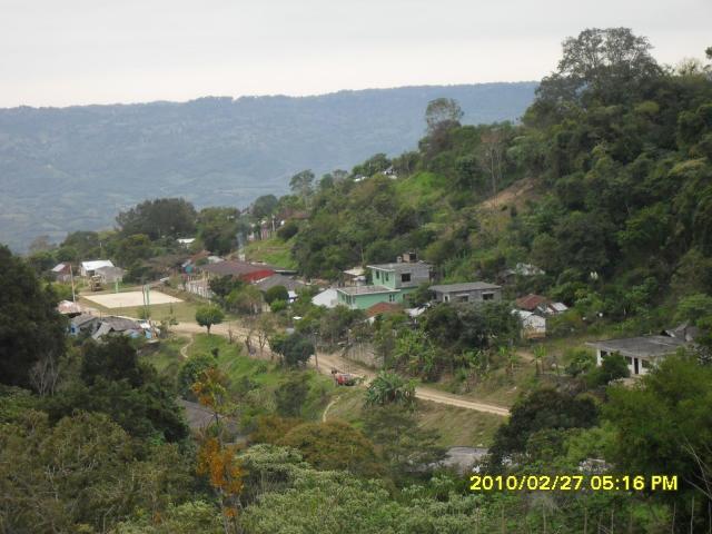 PEPEYOCA DE CABRERA HUAUTLA HIDALGO