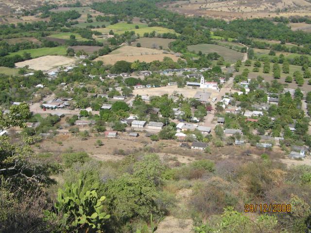 Las Garzas