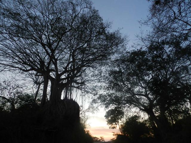 Atardecer en el carrizo 