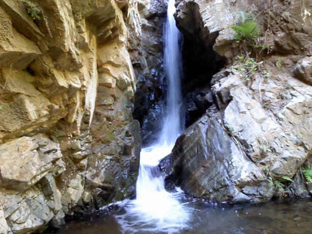 el hermoso paisaje del carrizal 