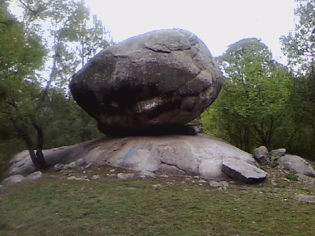 PIEDRA ENCIMADA DE PALOS AMARILLOS