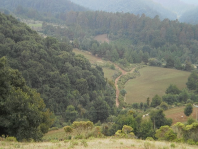 caminos del barrio el zapatito