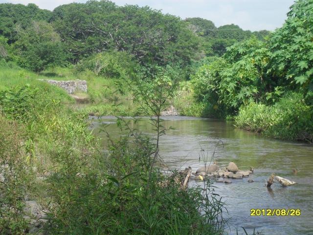 el rio de tenenexpan