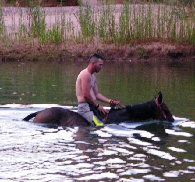 Baando al caballo en el rio