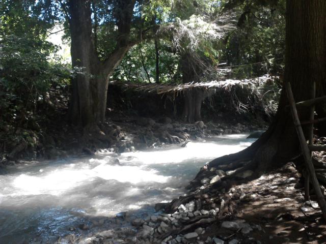 Puente de troncos