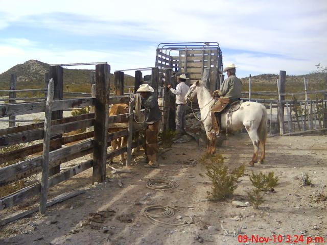 cerritos nueva espaa galeana 